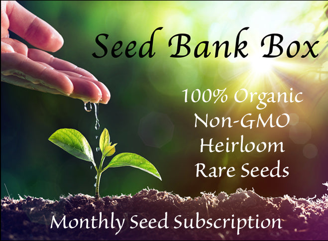Seed Bank Box