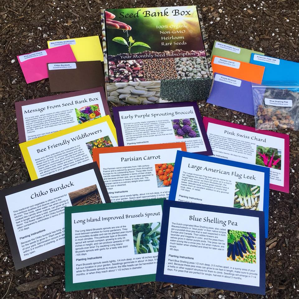 Seed Bank Box