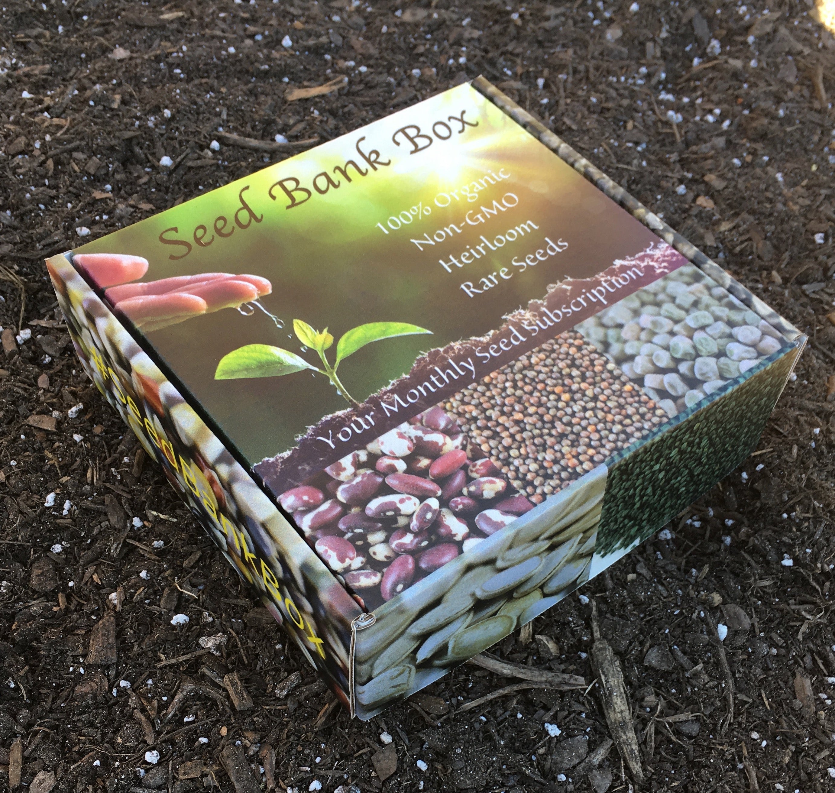 Seed Bank Box